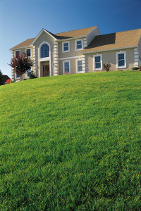 House-on-Grassy-Hill